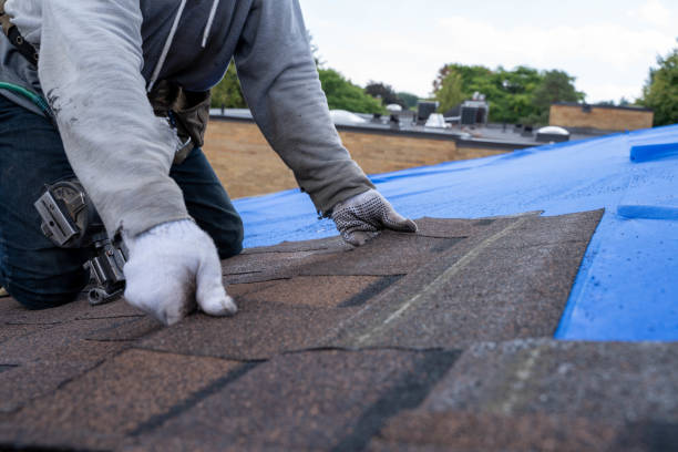 Best Asphalt Shingle Roofing  in Rockmart, GA